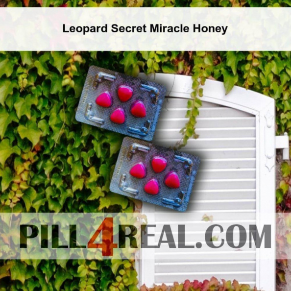 Leopard Secret Miracle Honey 395