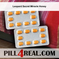 Leopard Secret Miracle Honey 487