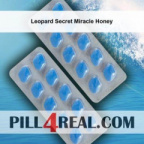 Leopard Secret Miracle Honey 679