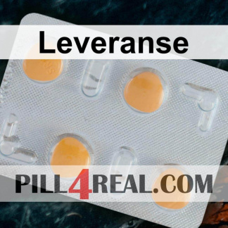 Leveranse 095
