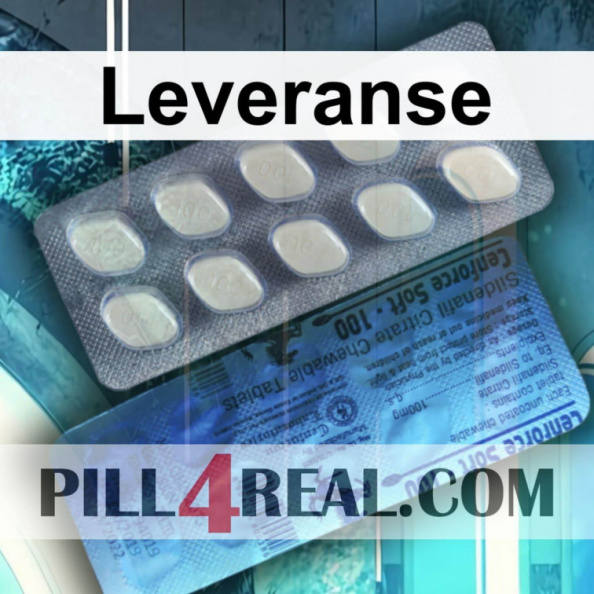 Leveranse 455