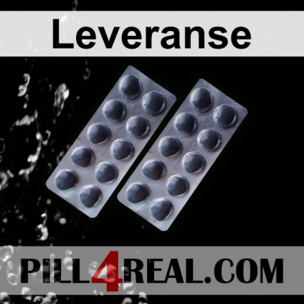Leveranse 482