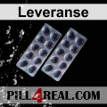 Leveranse 482