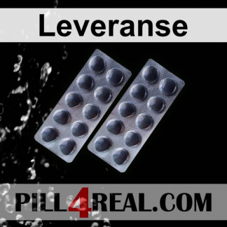 Leveranse 482