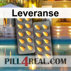 Leveranse 815
