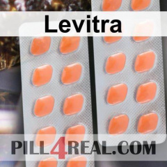 Levitra 117