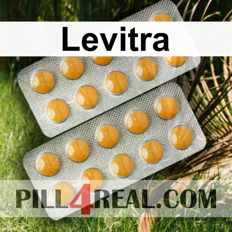 Levitra 879