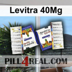 Levitra 40Mg 464