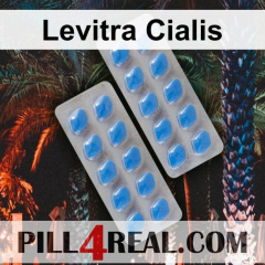 Levitra Cialis 114