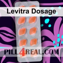 Levitra Dosage 399