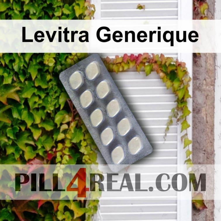 Levitra Generique 527