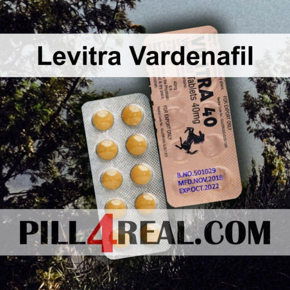 Levitra_Vardenafil_520.jpg
