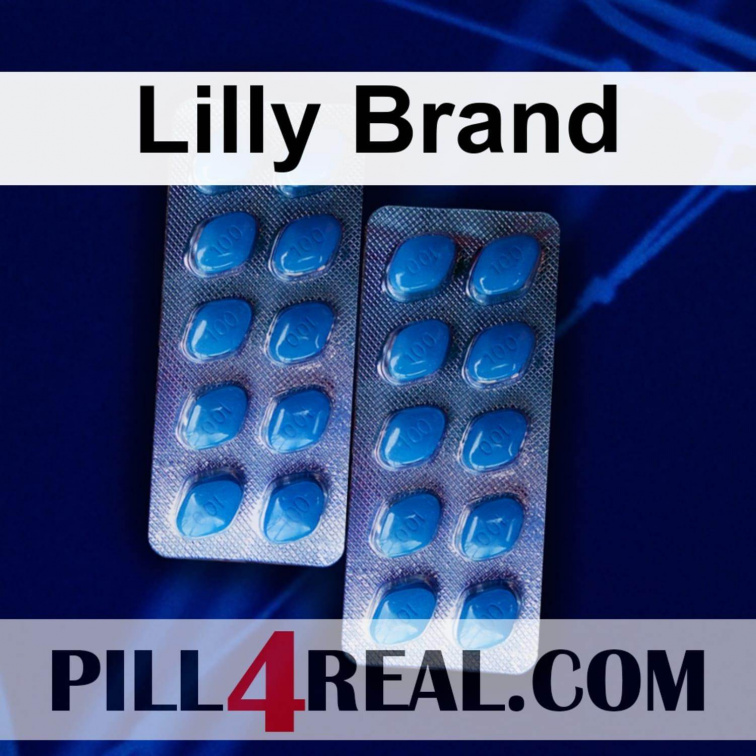 Lilly Brand 358