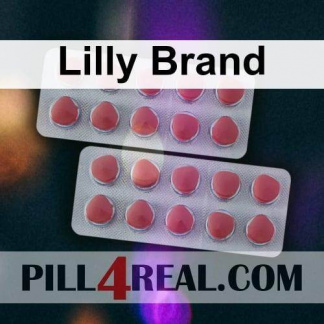 Lilly Brand 462