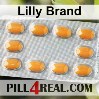 Lilly Brand 706