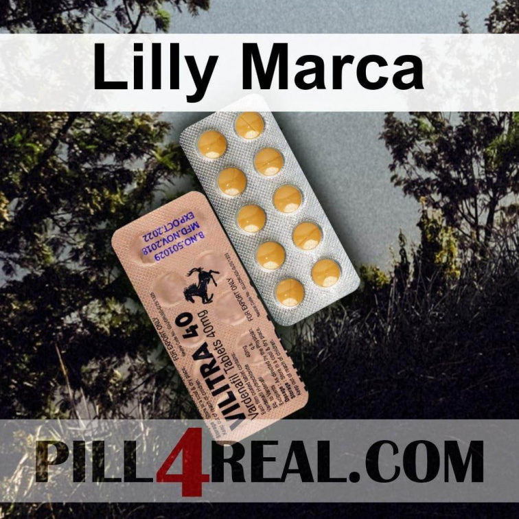 Lilly Marca 843