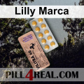 Lilly Marca 843