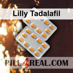 Lilly Tadalafil 480