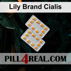 Lily Brand Cialis 108
