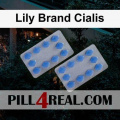 Lily Brand Cialis 221