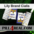 Lily Brand Cialis 641