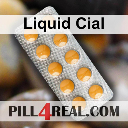 Liquid Cial 482