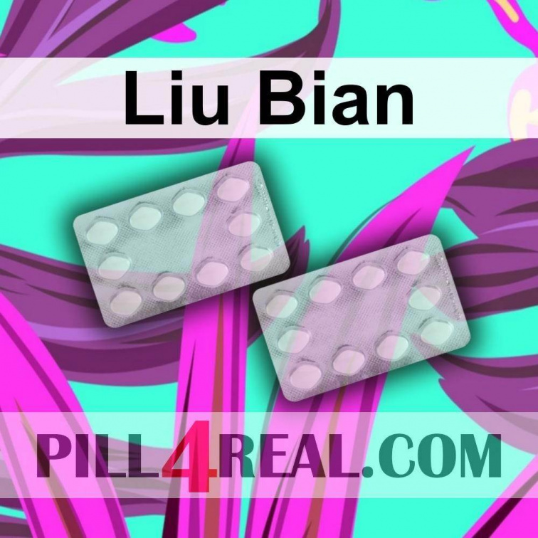 Liu Bian 024