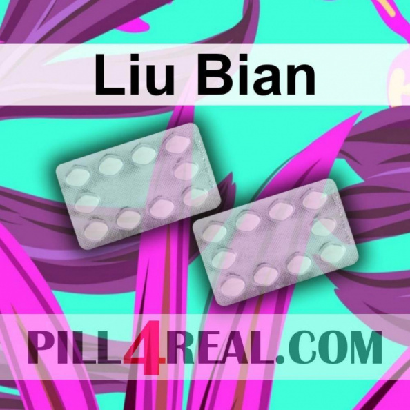 Liu Bian 024