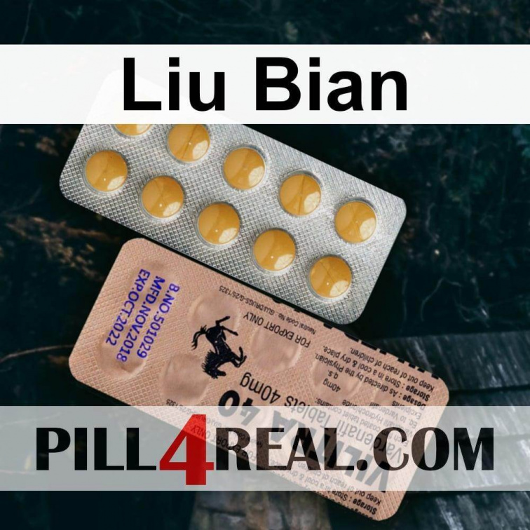 Liu Bian 044