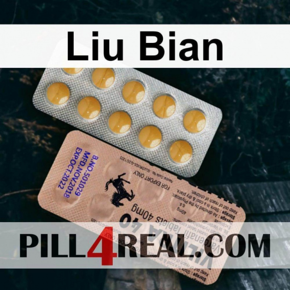 Liu Bian 044