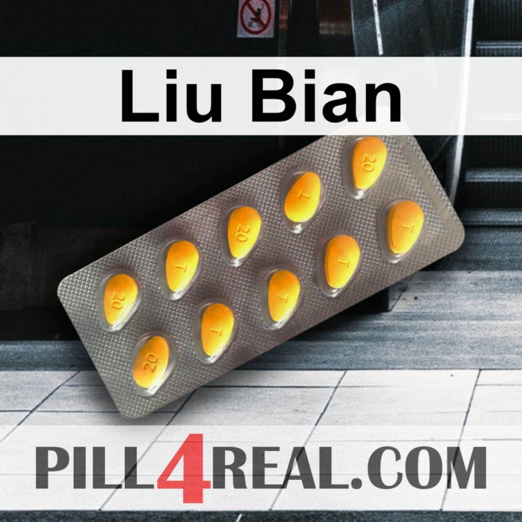 Liu Bian 094