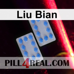 Liu Bian 096