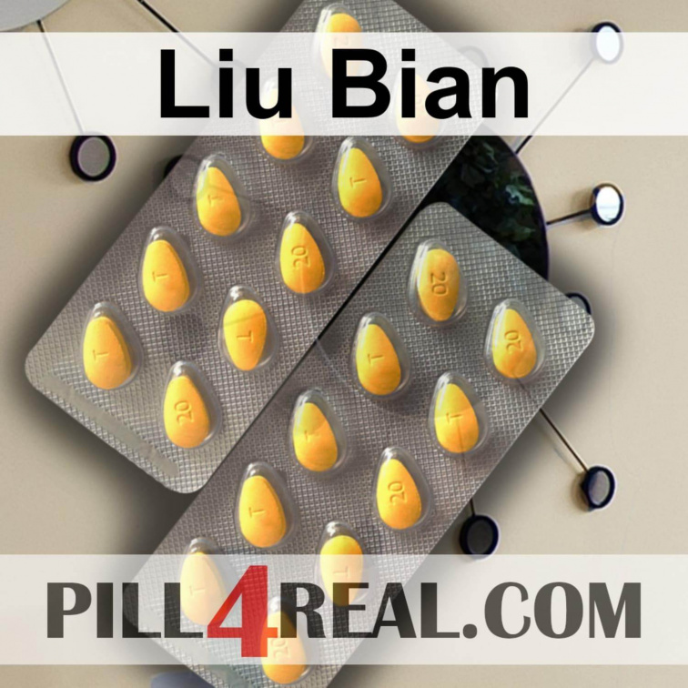 Liu Bian 110