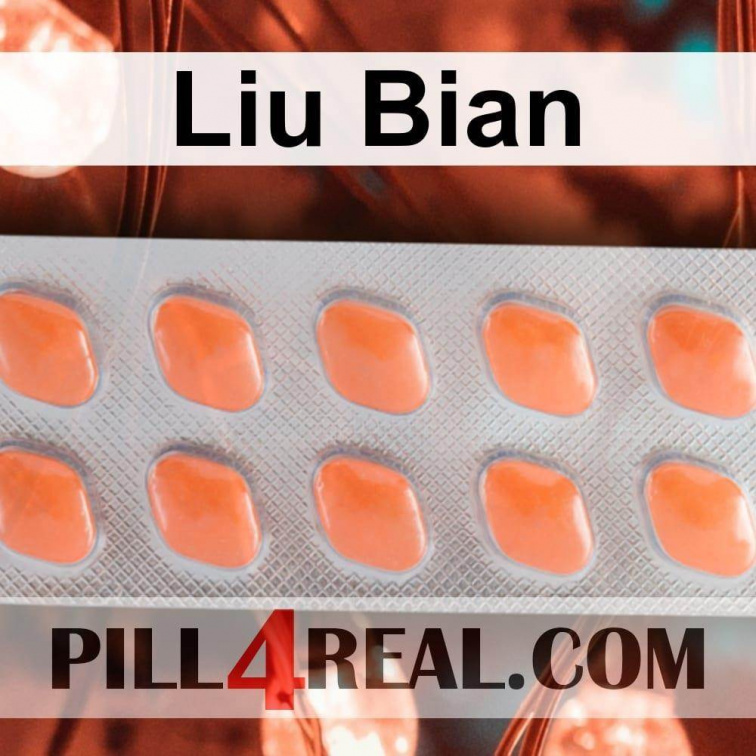 Liu Bian 148
