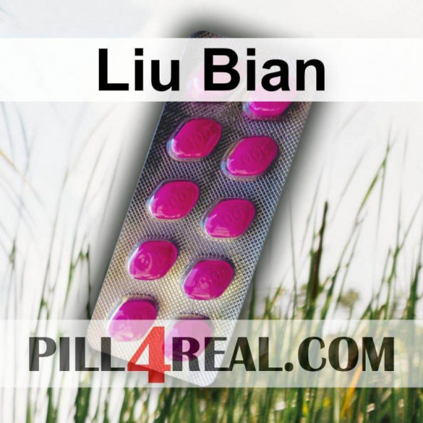 Liu Bian 173