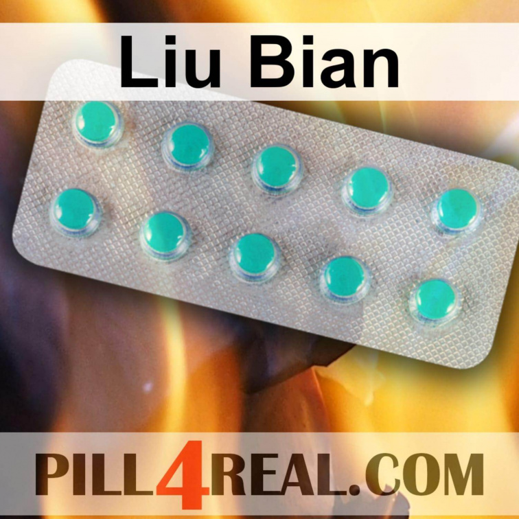 Liu Bian 223