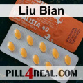 Liu Bian 242