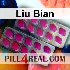 Liu Bian 259