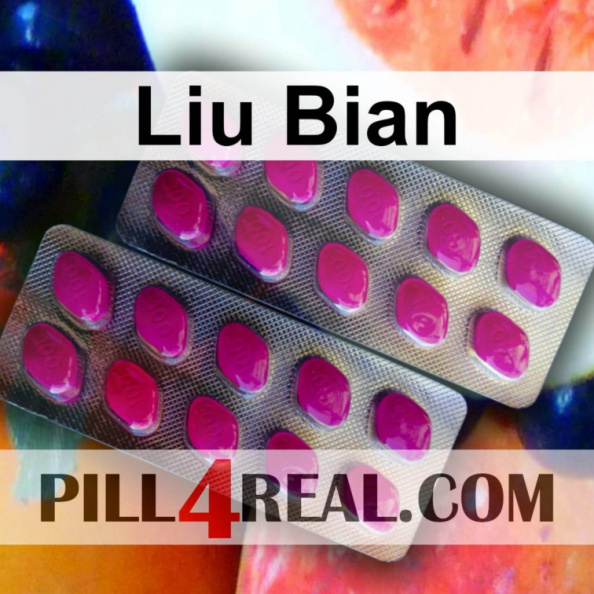 Liu Bian 259