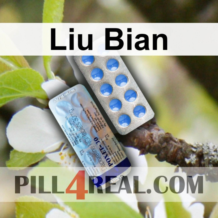 Liu Bian 306
