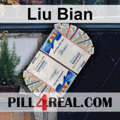 Liu Bian 354