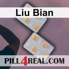 Liu Bian 399