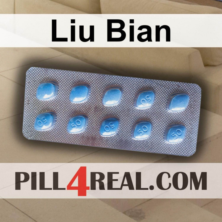 Liu Bian 441