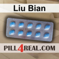 Liu Bian 441