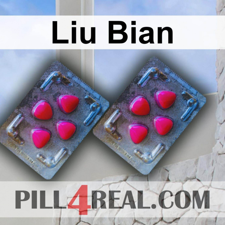 Liu Bian 446