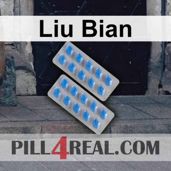Liu Bian 449