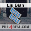 Liu Bian 449