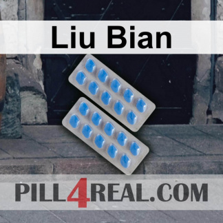 Liu Bian 449