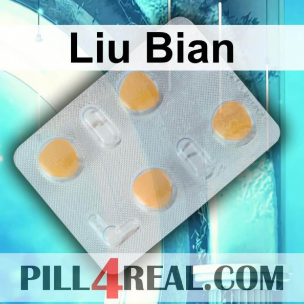 Liu Bian 453