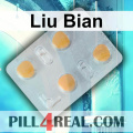 Liu Bian 453